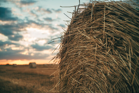 Close-up of a round straw bale on a harvested stubble field under a beautiful, dramatic cloudy sunset sky in summer.