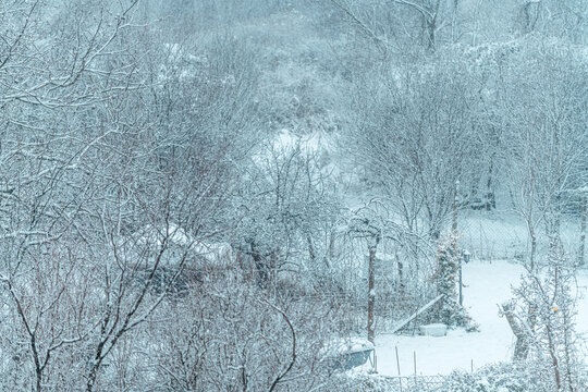 Heavy snowfall over snowy backyard orchard with bare trees