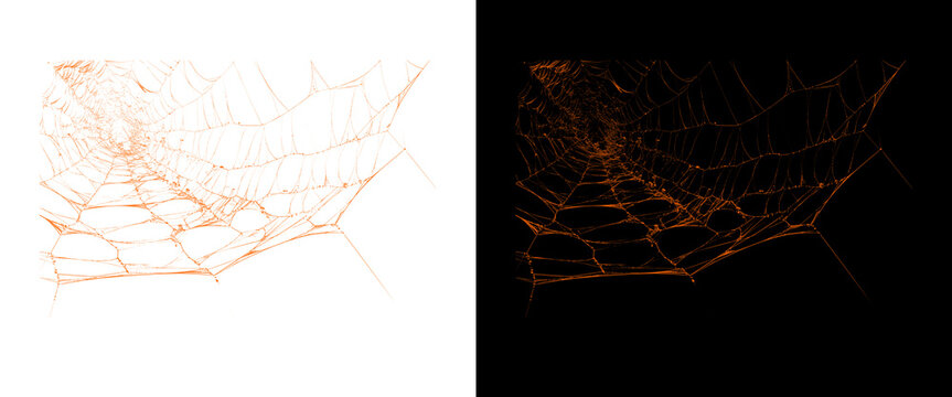 Spooky orange spiderweb on black and white backgrounds, creepy Halloween cobweb design elements, gothic horror graphic assets