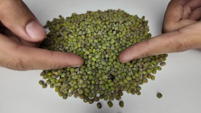 Close up shot of human fingers inspecting and pointing at a pile of raw medium grade mixed mung beans on a white background.
