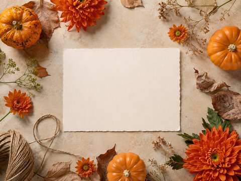 Botanical Halloween flat lay with a blank paper card