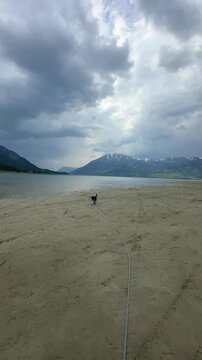 Woman walking her dog on the Carcross Desert beach in Yukon, Canada