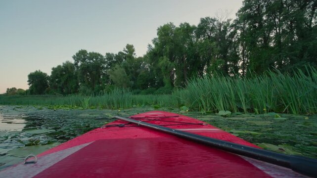 Point of View from Red Paddle Board Drifting Among Water Lilies | Paddle Resting on SUP Deck Near River Bank | Peaceful Summer Evening Nature Scene