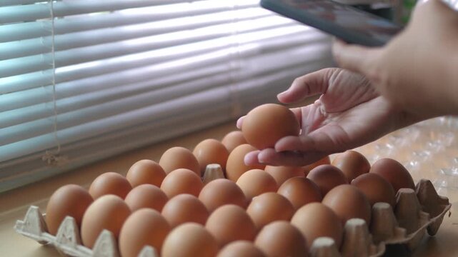 Close-up video of a hand holding and inspecting a brown chicken egg while using a smartphone, with eggs arranged in a carton on a table