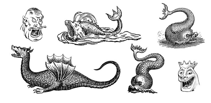 Vintage illustration of Sea Monsters, Fantasy animals.  Sea monsters png set with transparent background.