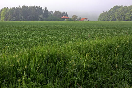 Kulturlandschaft im Lipperland