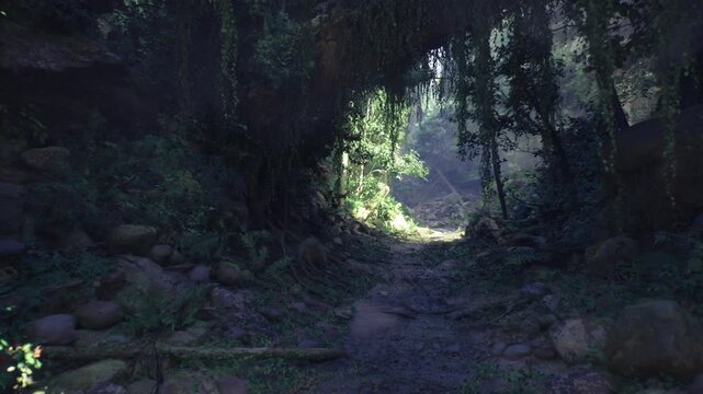moody grotto threshold with bright aperture, damp stones, tangled roots, cool shadows and warm center light creating cinematic contrast and sense of hidden