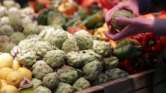 Seller hands putting fresh artichokes in supermarket close up. Female hands holding farm artichoke against the background of a display case with fresh vegetables. High quality 4k footage