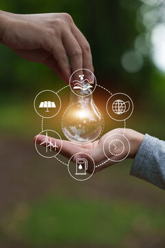 Hands Holding Glowing Lightbulb with Sustainability Icons