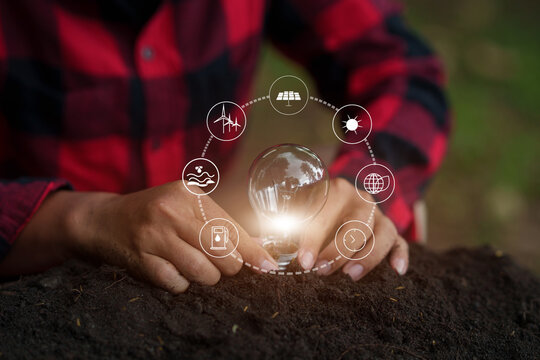 Hands Holding Lightbulb Planted in Soil with Sustainable Energy Icons