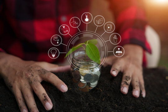 Sustainable Green Investment and Holistic Eco-Friendly Concepts