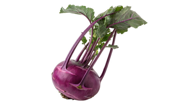 Fresh raw purple kohlrabi cabbage turnip with leaves isolated on transparent background cut out