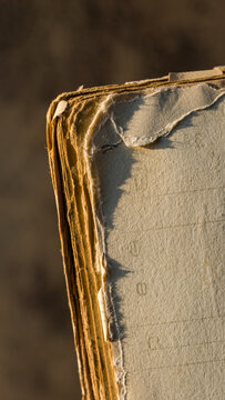 Close-up of a worn, torn, and aged book with damaged pages.