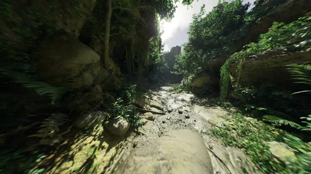 shadowed mossy ravine under soft twilight, damp floor with trickling creek, hanging lichen and deep cool shadows, intimate secluded atmosphere