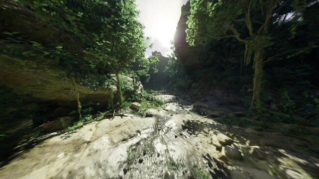 mossy creek under thick canopy, ideal for botanical survey, specimenrich environment with dense ferns, vines and endemic plants, humid filtered light enhancing