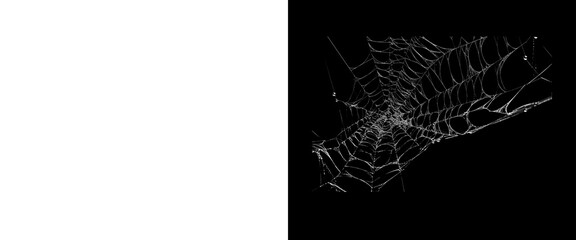 Naklejka premium Spooky spiderweb on black background, delicate white spider web texture, eerie Halloween design element