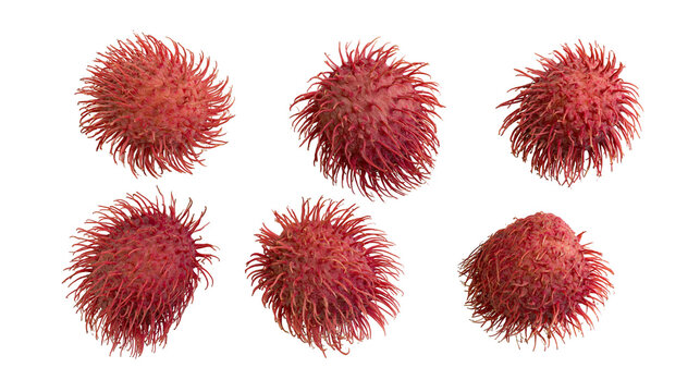 Six red rambutan fruits with spiky hairy skin