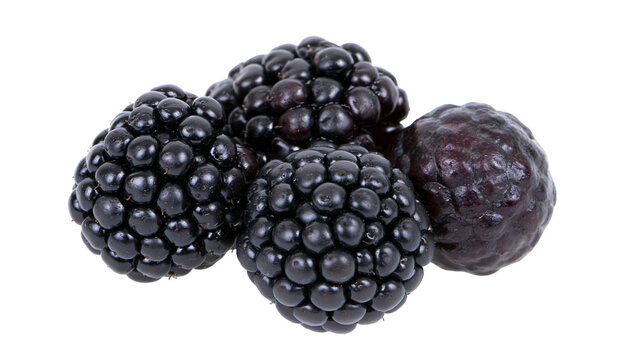 Group of ripe blackberries with dark purple color and textured drupelets