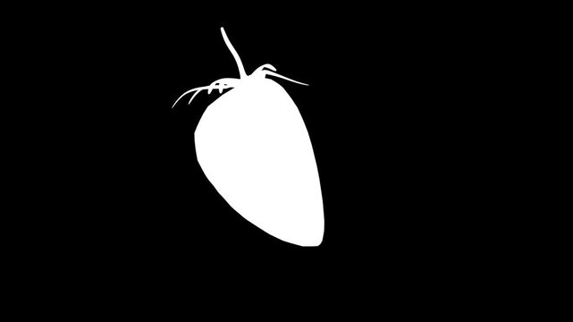 A ripe strawberry rotates while glossy milk and chocolate streams splash over it against a clean white background in slow, stylized 3D animation