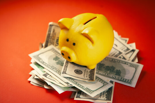 Piggy bank with money on red background. Business concept.