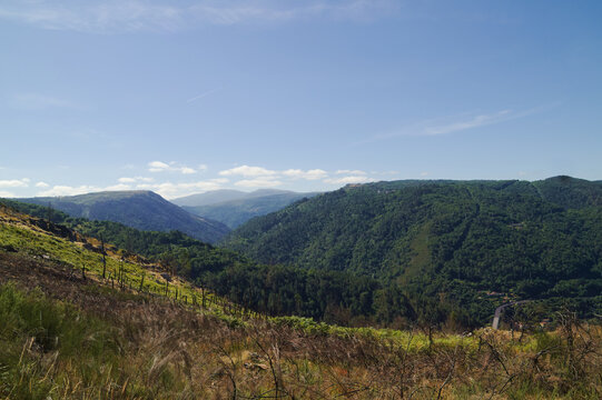 Landscapes Along the Hiking Route from Os Peares to Mirador Alto de Picota viewpoint in Ribeira Sacra, Galicia, Spain