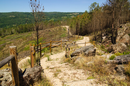 Landscapes Along the Hiking Route from Os Peares to Mirador Alto de Picota viewpoint in Ribeira Sacra, Galicia, Spain