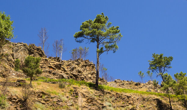 Landscapes Along the Hiking Route from Os Peares to Mirador Alto de Picota viewpoint in Ribeira Sacra, Galicia, Spain