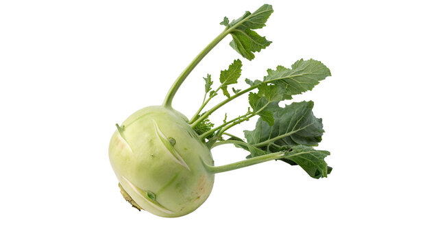 Fresh raw green kohlrabi turnip cabbage with leaves isolated on transparent background
