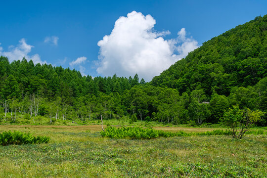 湿原の青空