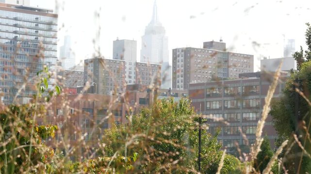 New York City Little Island pier park in Midtown of Manhattan, United States. Urban garden oasis on pillars in Chelsea, USA. Biophilic design, eco flora, plants and greenery. Residential buildings.