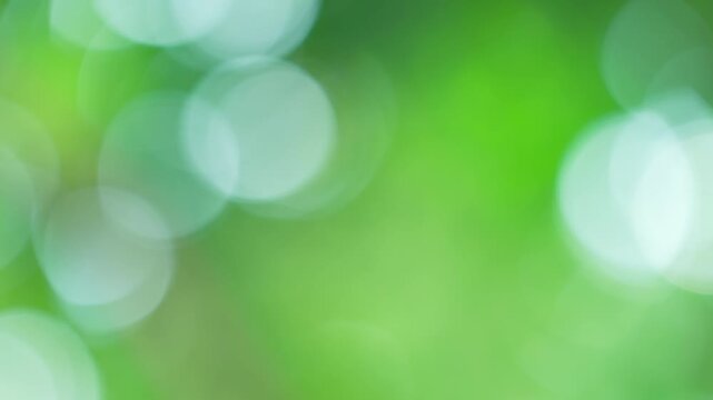 Smooth round green bokeh circles shifting softly in natural breeze, fresh natural background
