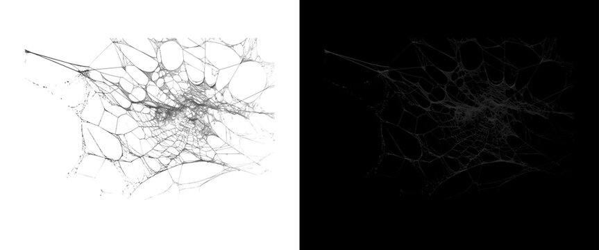 Spooky spider web texture on white background, creepy cobweb design element for Halloween, dark gothic net pattern