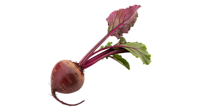Fresh raw organic red beetroot crop with green leaves isolated on transparent background