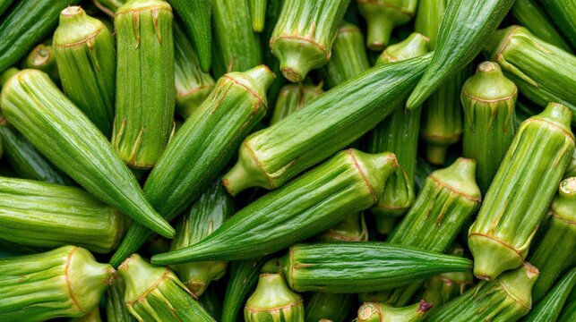 Numerous fresh, vibrant green okra pods are tightly packed together in a closeup view.