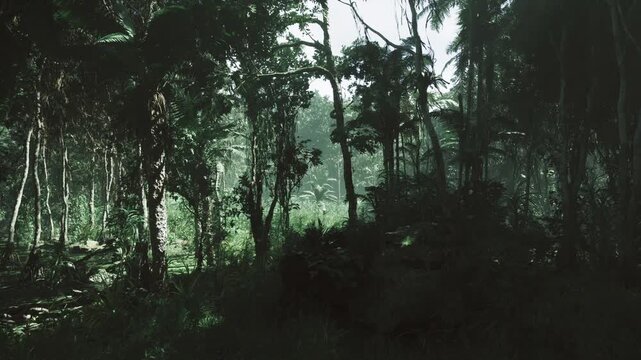 Lush fiji rainforest research plot with marked survey flags, fallen logs and diverse understory, fieldwork atmosphere emphasizing conservation, biodiversity