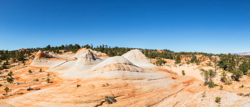USA, Utah, Canaan Mountain, Hildale, hiking trip towards White Domes and Water Canyon, colored sandstone rocks