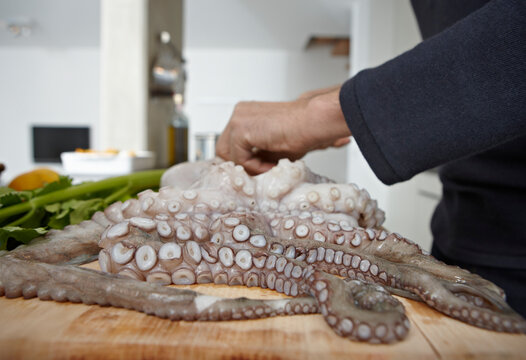 Germany, Cologne, Mid adult man preparing octopus in kitchen