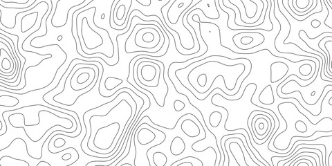 Fototapeta premium Abstract detailed topographic line art background, wavy black outline lines in a clean layout, for presentation, wallpaper and copy space.