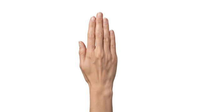 Close up shot of a person's hand showing clear skin texture and well maintained nails on a neutral studio background.
