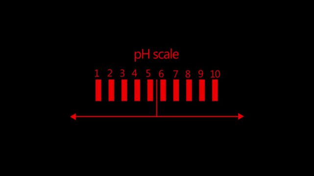 Animated p h scale infographic: scientific measurement indicator for chemistry and laboratory research