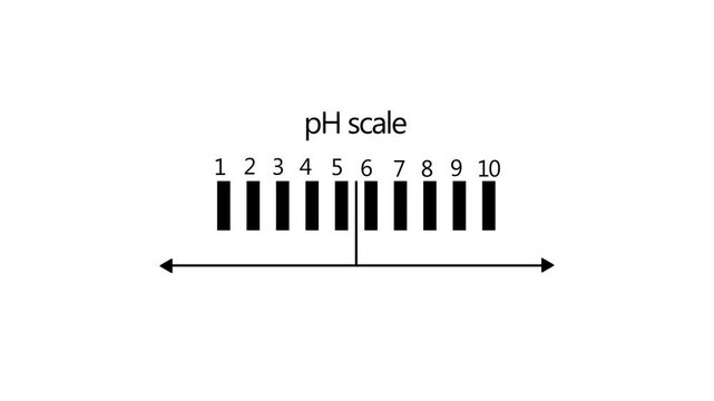 Animated p h scale infographic for chemistry and science education ph scale acidity