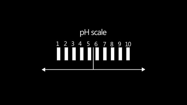 P h scale measurement infographic animation: acidic and alkaline level indicator ph scale chemistry science