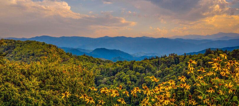 An overlooking view of nature in Great Smokey Mountains NP, Tennessee