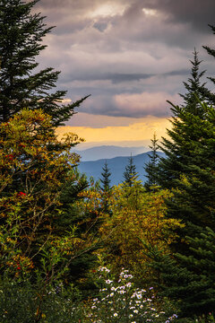 An overlooking view of nature in Great Smokey Mountains NP, Tennessee