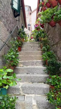 Combarro stone stairway decorated with plants in Pontevedra