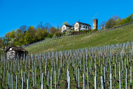 Wartberg in Heilbronn