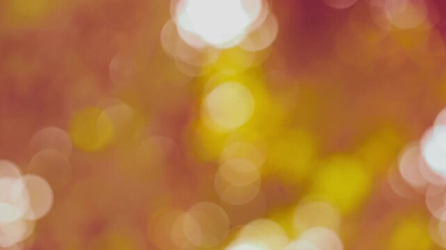 Vibrant yellow-gold bokeh clusters dancing in natural evening breeze, uplifting nature background