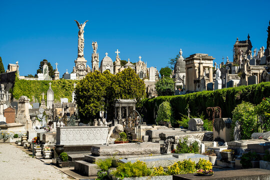 Friedhof du Ch&acirc;teau in Nizza