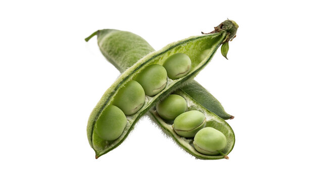 Fresh green pea pod open with peas inside organic vegetable isolated on transparent background
