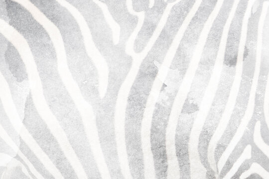 Natural texture of the zebra skin background.